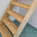 La Nociglia