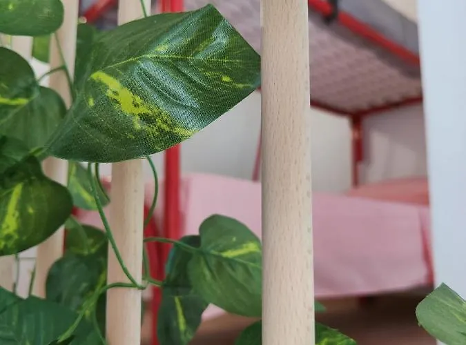 La Apartamento Nociglia